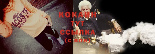 сатива Надым