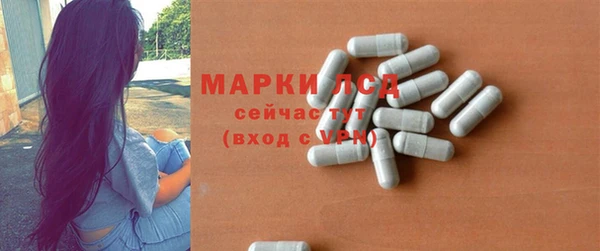 сатива Надым