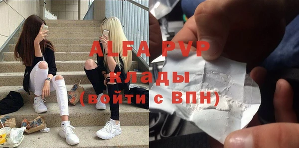 сатива Надым