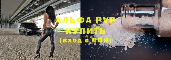 сатива Надым